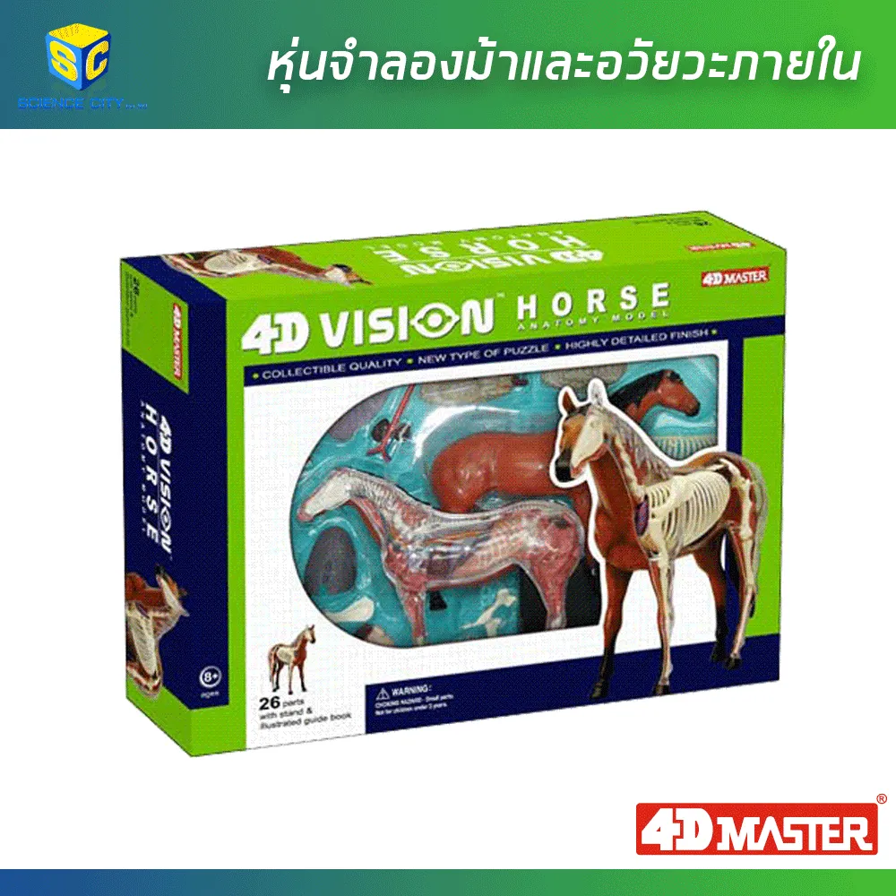 หุ่นม้า06