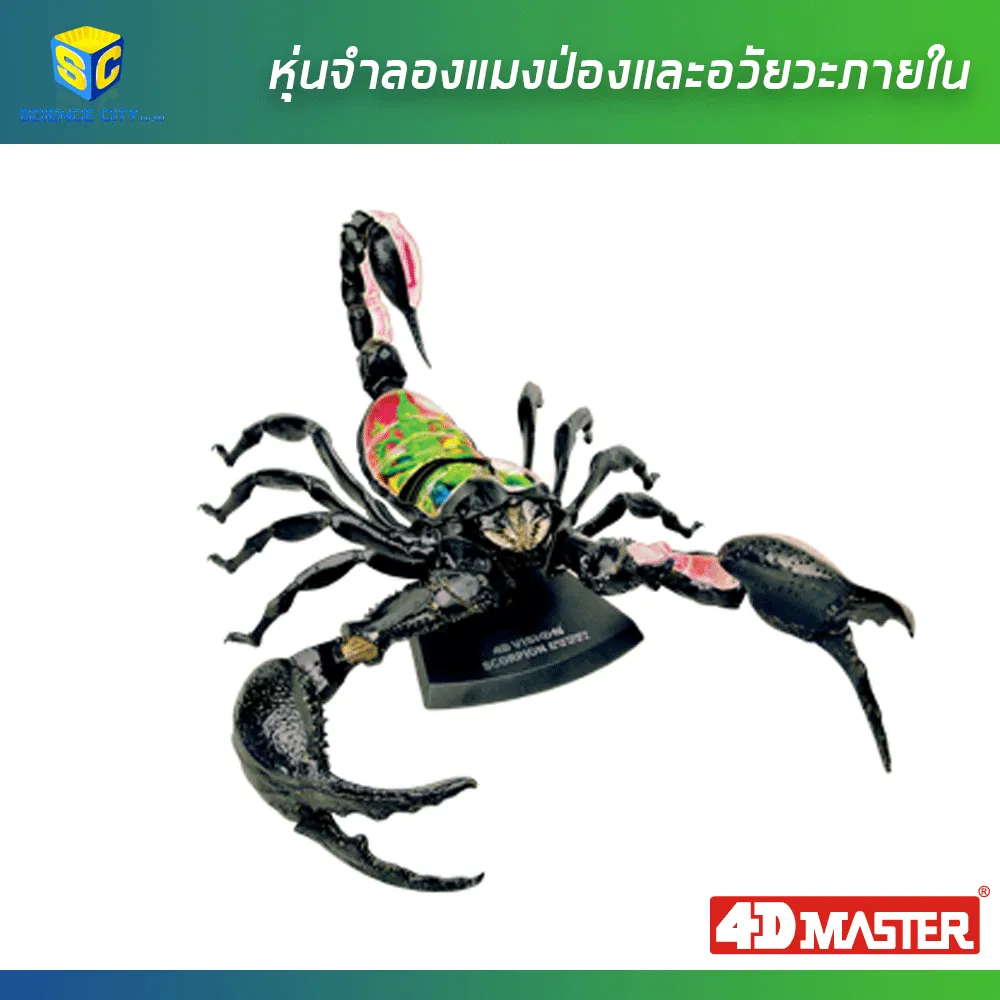 แมงป่อง01