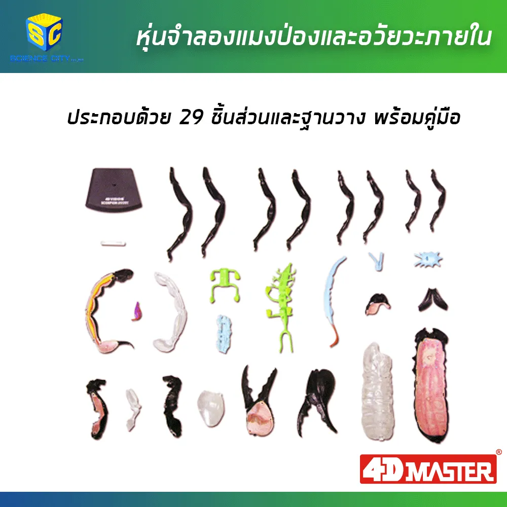 แมงป่อง02