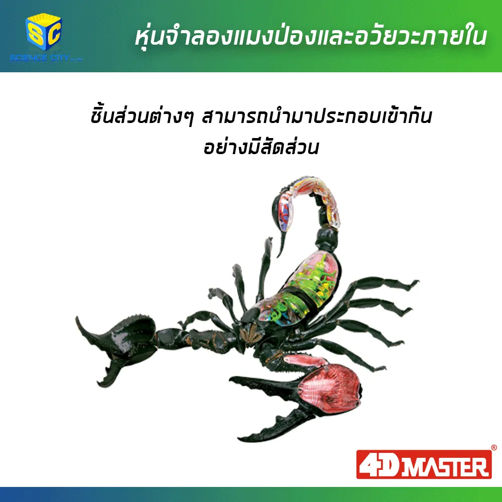 แมงป่อง03