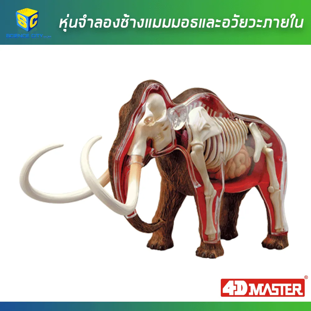 แมมมอธ01