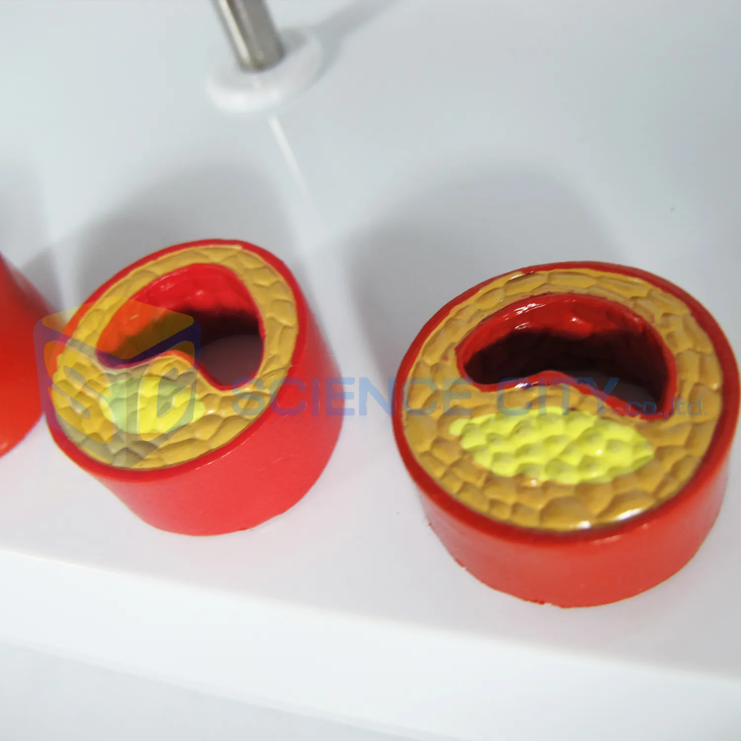 HRT-001website3