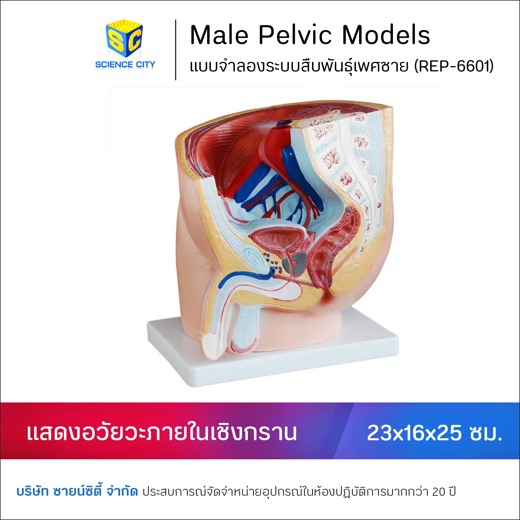 REP-6601ShopeeWL