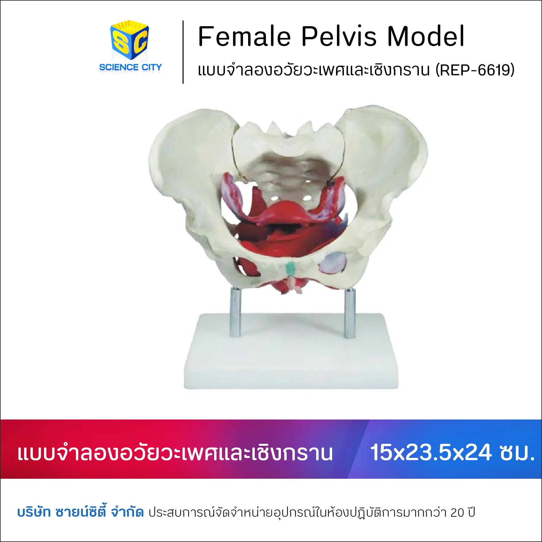 REP-6619ShopeeWL