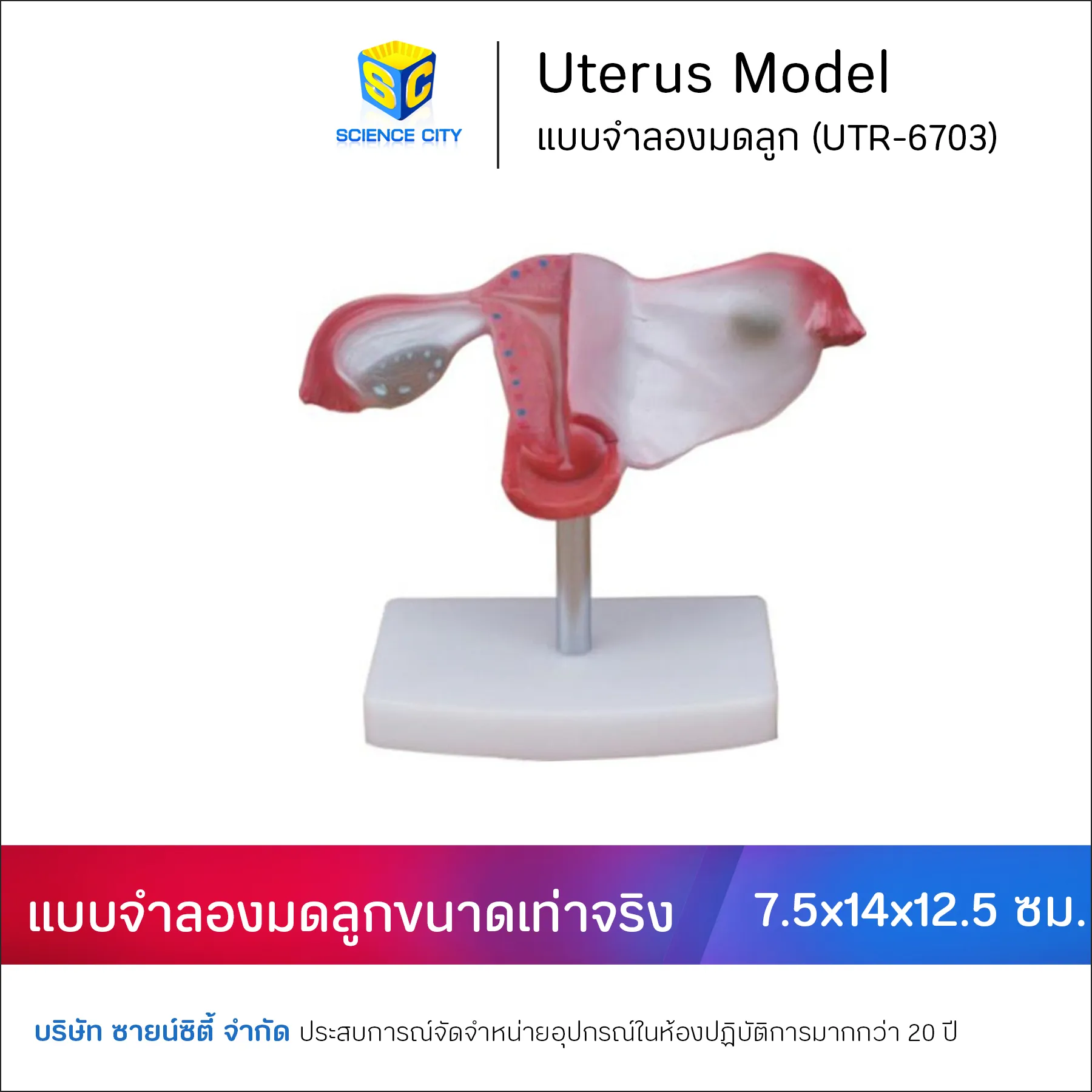 REP-6622ShopeeWL