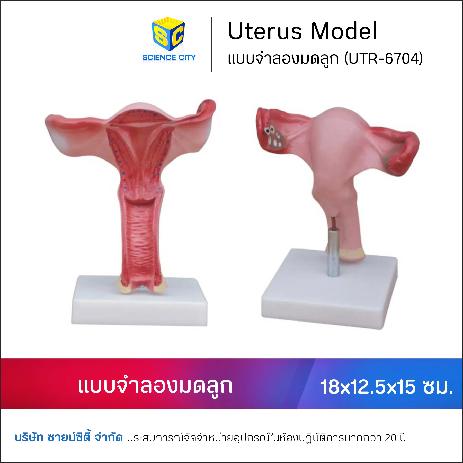 REP-6623ShopeeWL