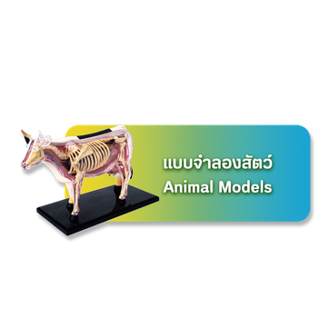 เมนูสัตว์