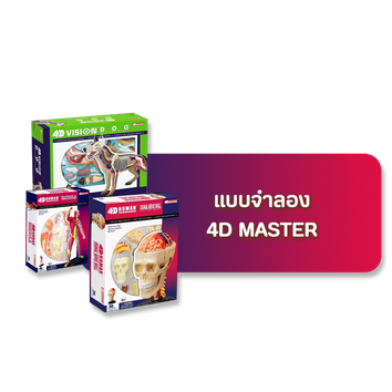 เมนู4d