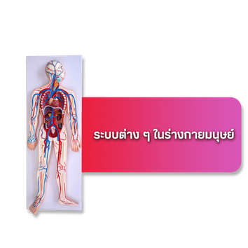 เมนูระบบต่างๆ