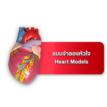 เมนูแบบจำลองหัวใจ