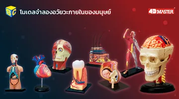 sciencecity4dbanner06