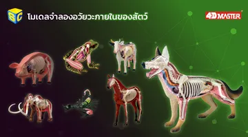 sciencecity4dbanner07