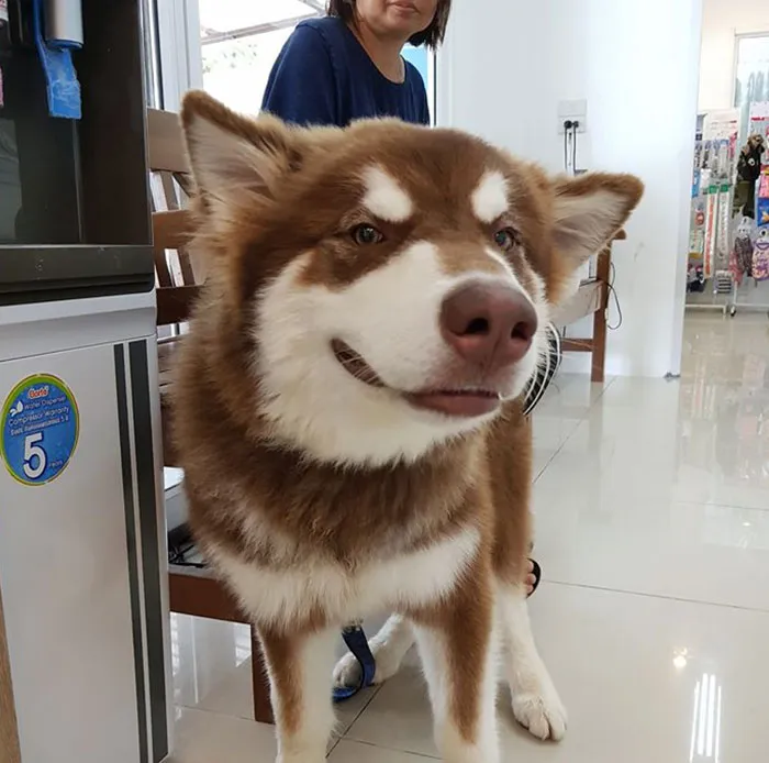 permpoonpet23