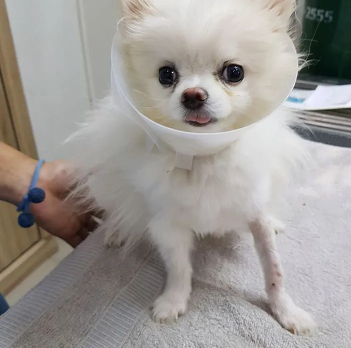 permpoonpet26