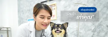 permpoonpetslide02