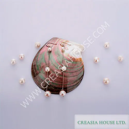creasiahouse6