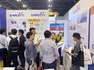 Temca20194