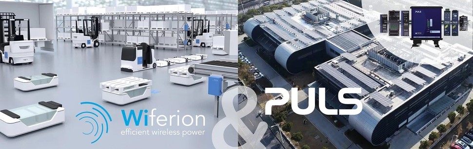 PULSWiferion