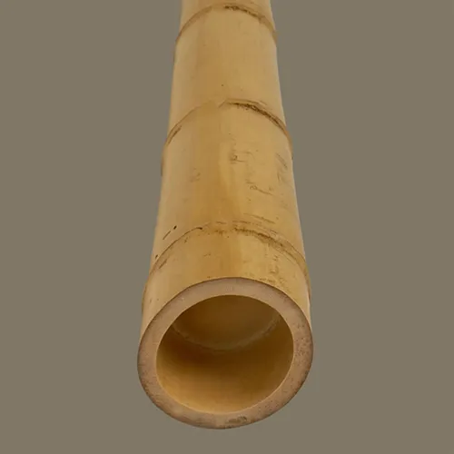 iTopPlus995420381636