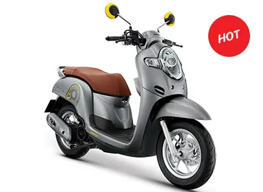 iTopPlus302436954311