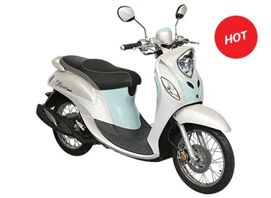iTopPlus902061896636