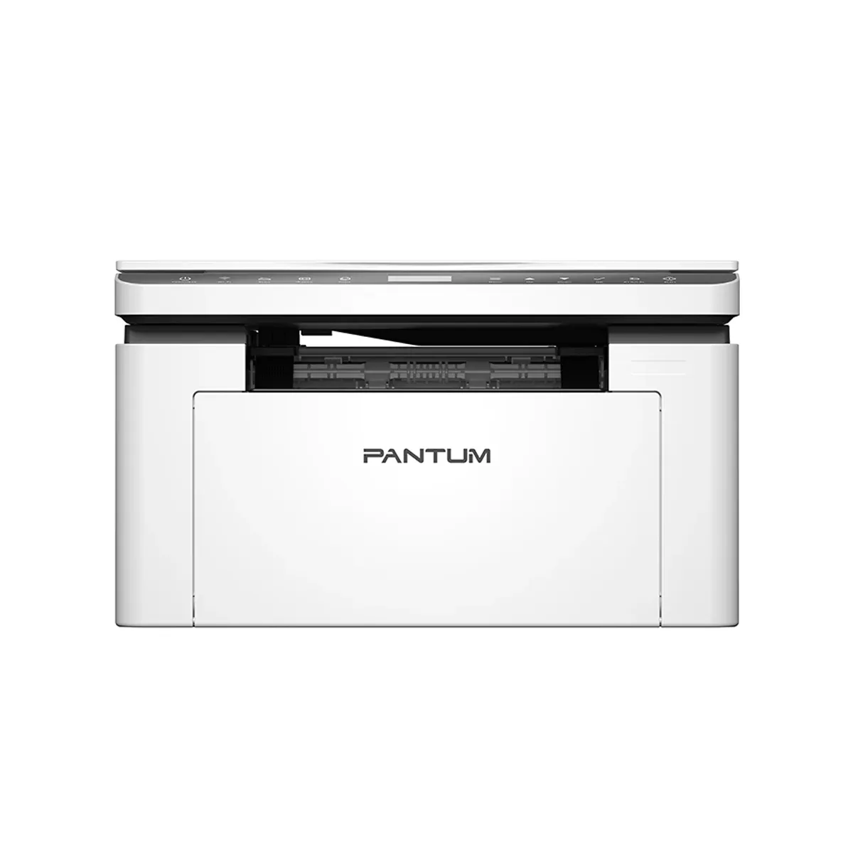 Pantum BM2300W
