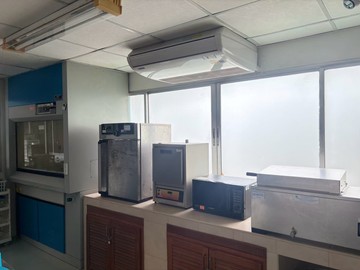 S239861850