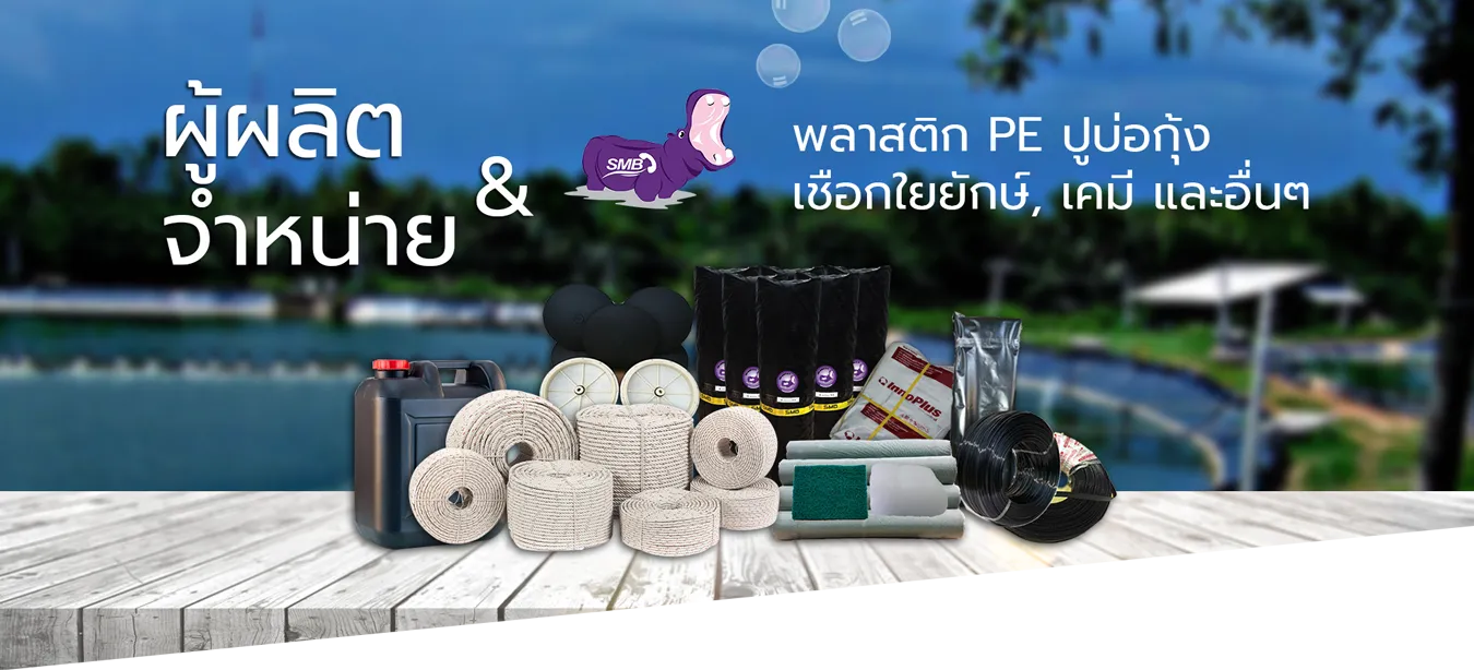 iTopPlus784172741756