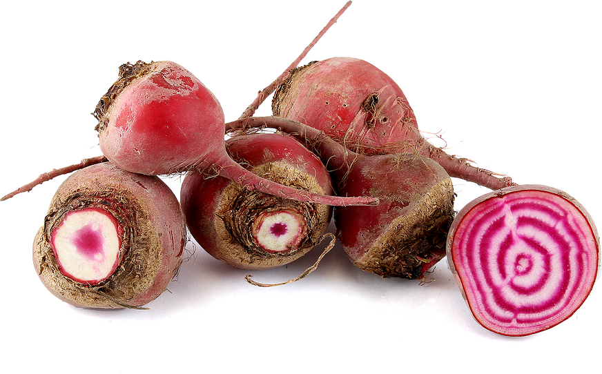 BabyBeetrootChioggia