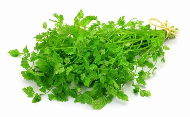 Chervil