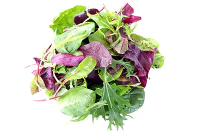 MixSaladGreen