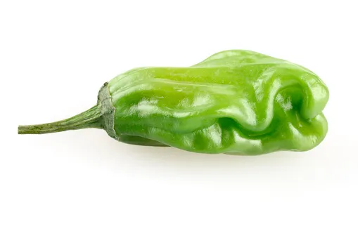 ShishitoPeppers