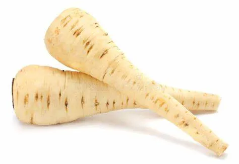 parsnip