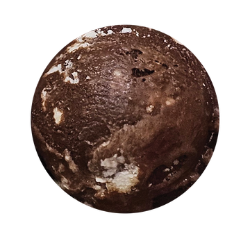 BlackForest-copy