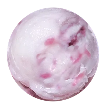 Champaignescoopcopy