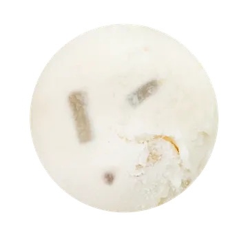 PalmSugarSorbet