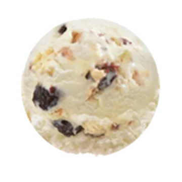 RumRaisin471294101052