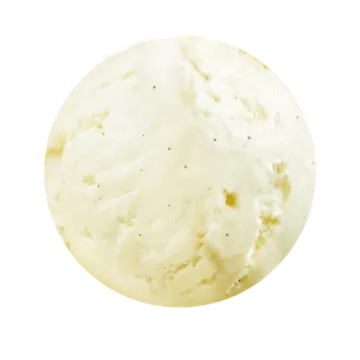 VanillaMadagascarcopy