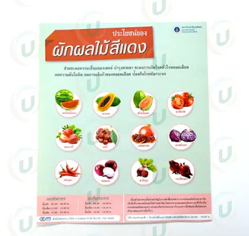 ใบปลิว2