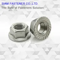 flangenut-11211389103268