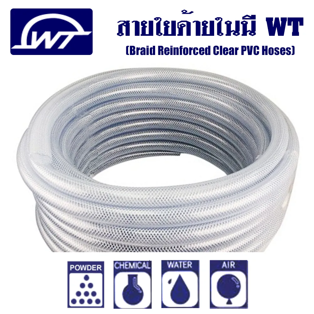 สายใยด้ายในนีWT