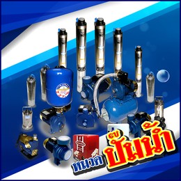 หมวดสินค้า-ปั๊มน้ำ2
