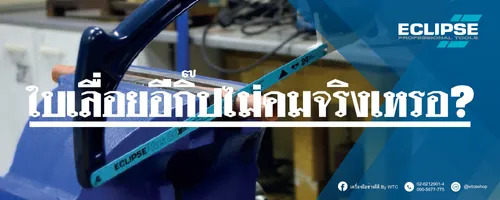 บทความใบเลื่อย2