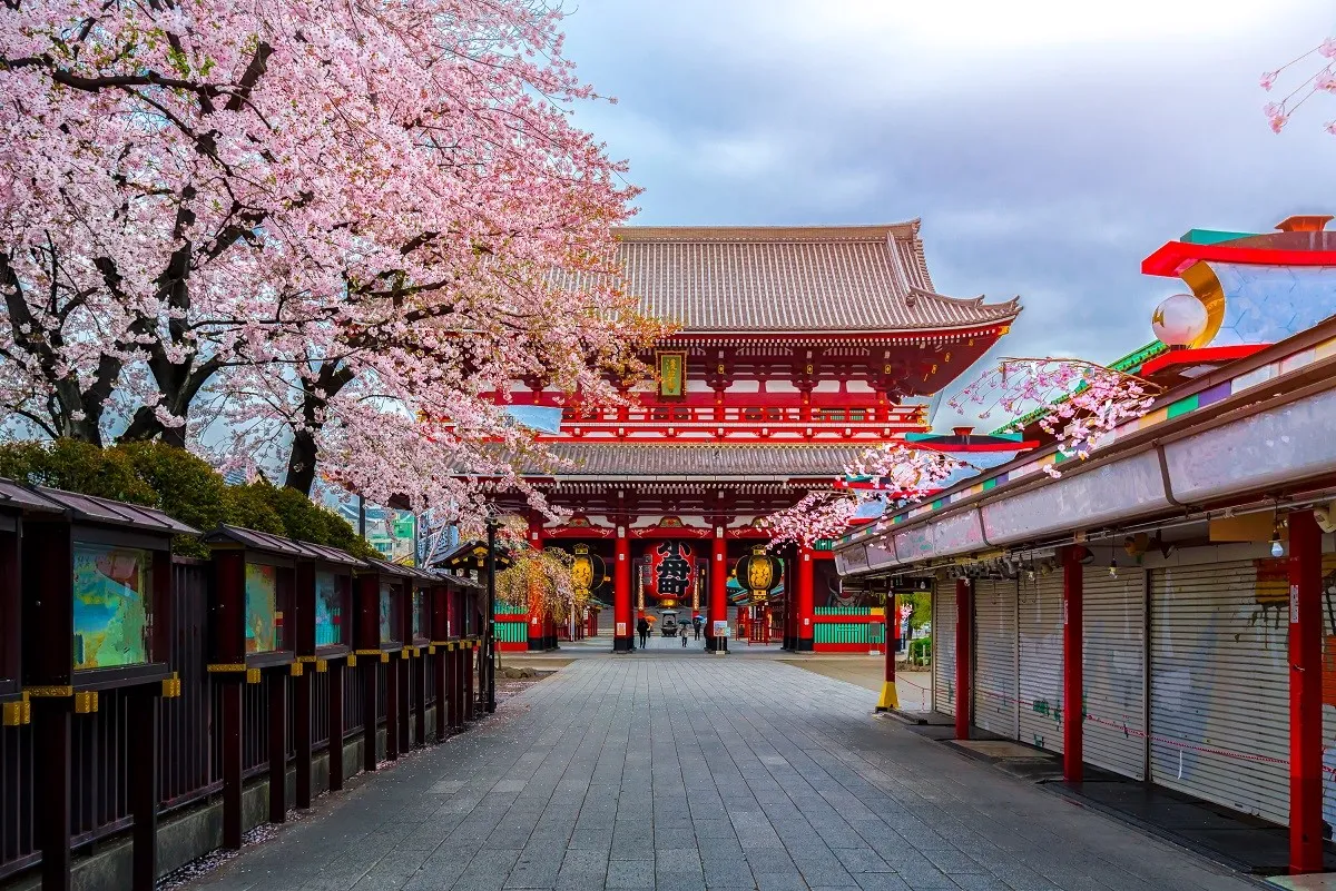 ASAKUSATEMPLESAKURA