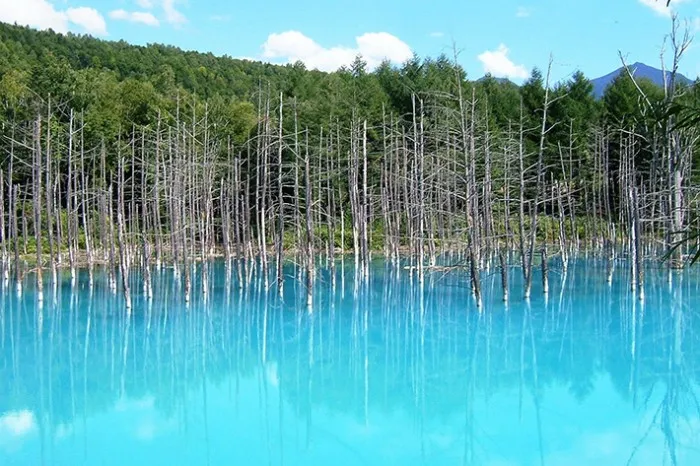 BluePond