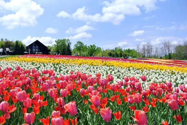 TakinoSuzuranHillsideNationalPark