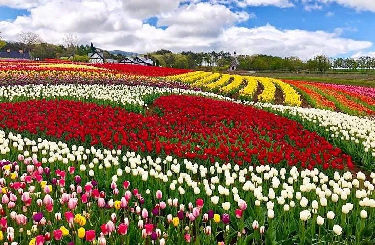 สวนดอกไม้บ๊กกะโนะซาโตะ