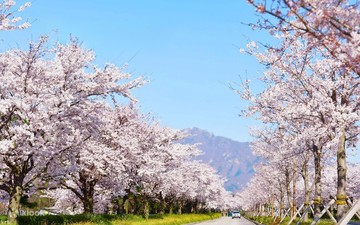SakuraSeoraksan