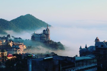 TAMDAO