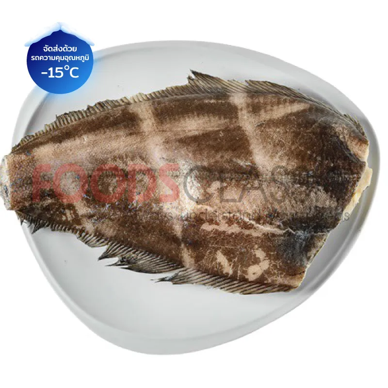 FOODSC~2